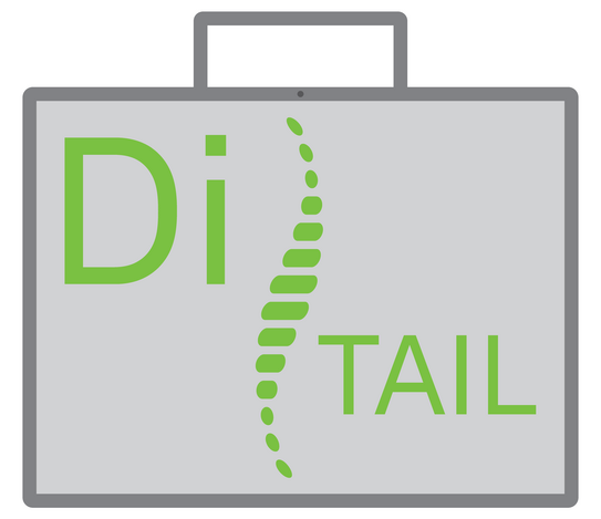 Darstellung eines Handkoffers, Inhalt ein stilisiertes Rückgrat und die Bezeichnung Di TAIL