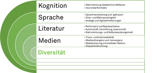 Infographik bestehend aus grünen Halbkreisen, rechts daneben ist ein Tabellenelement, das die Forschungsbereiche des Instituts für Diversitätsstudien erläutert